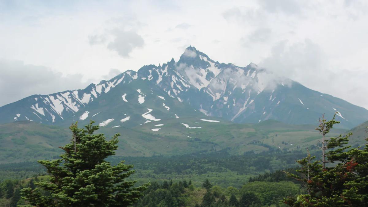 6 月的利尻山,山頂被雲包住,山稜還留著一條條殘雪,山腳是綠色的針葉林