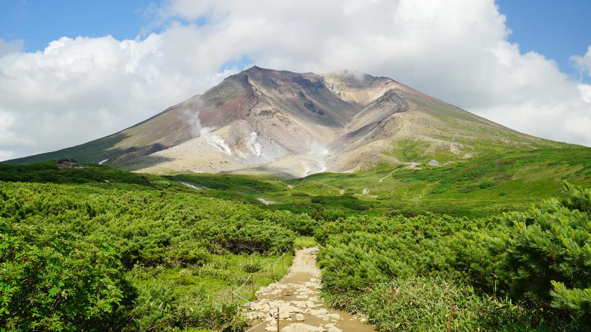 夏天的旭岳登山步道，石塊鋪成的小路穿過偃松，通往後方冒著白煙的旭岳