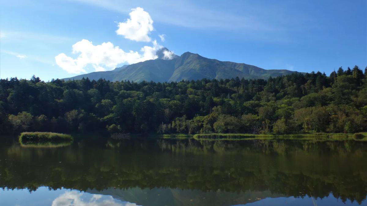 平靜的姬沼水面倒映著森林與利尻山,背景是晴天的利尻山