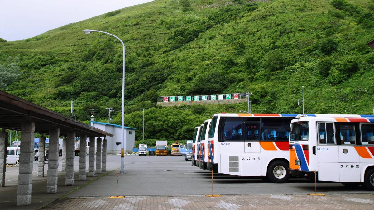 禮文島香深港停著幾輛宗谷巴士,背後是長滿綠草的山坡