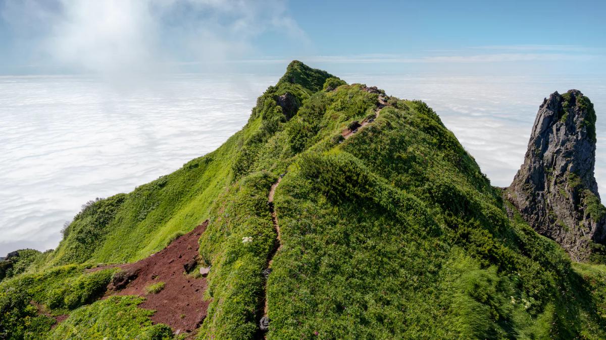 利尻山山頂附近沿著綠色山稜往上的窄登山步道，右邊是尖岩，背景是雲海