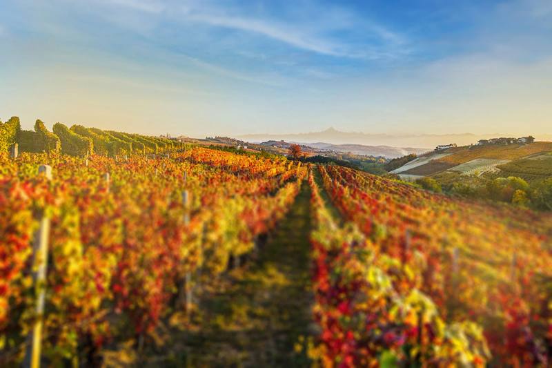 Moscone – Monforte d'Alba og La Morra, Piemonte