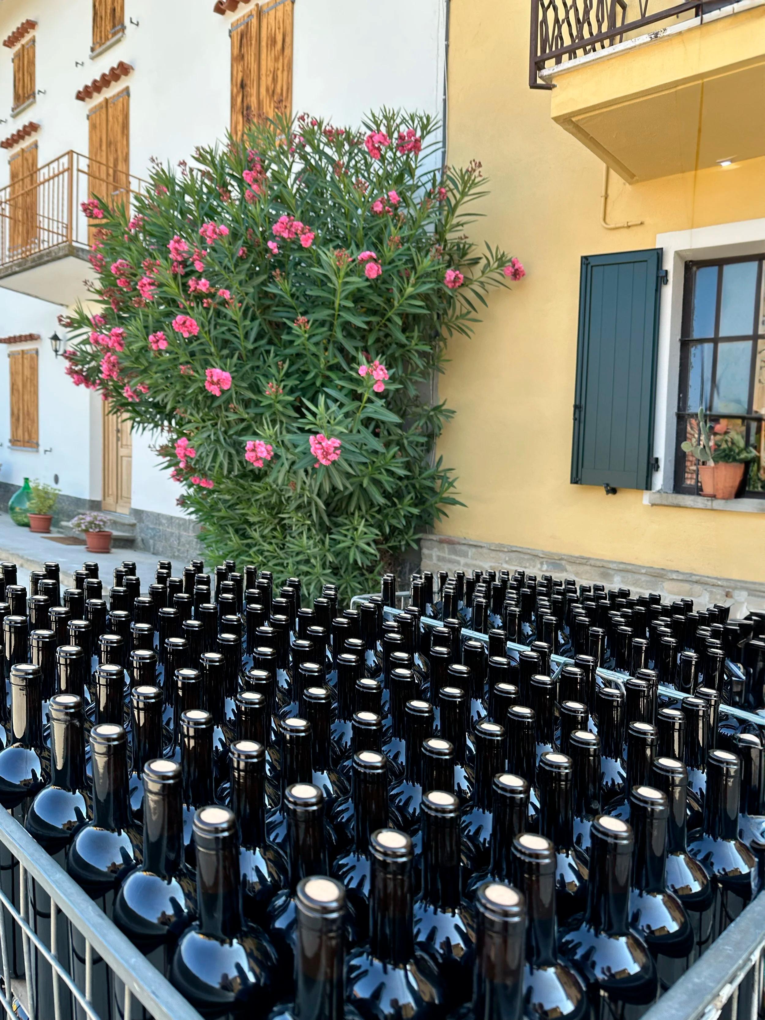 Fea Vini – fra gården i Calosso
