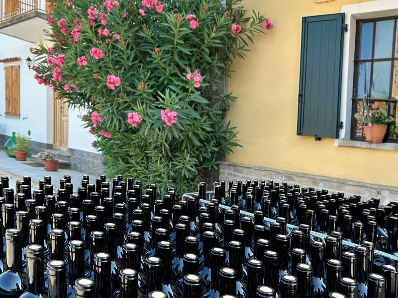 Fea Vini – fra gården i Calosso