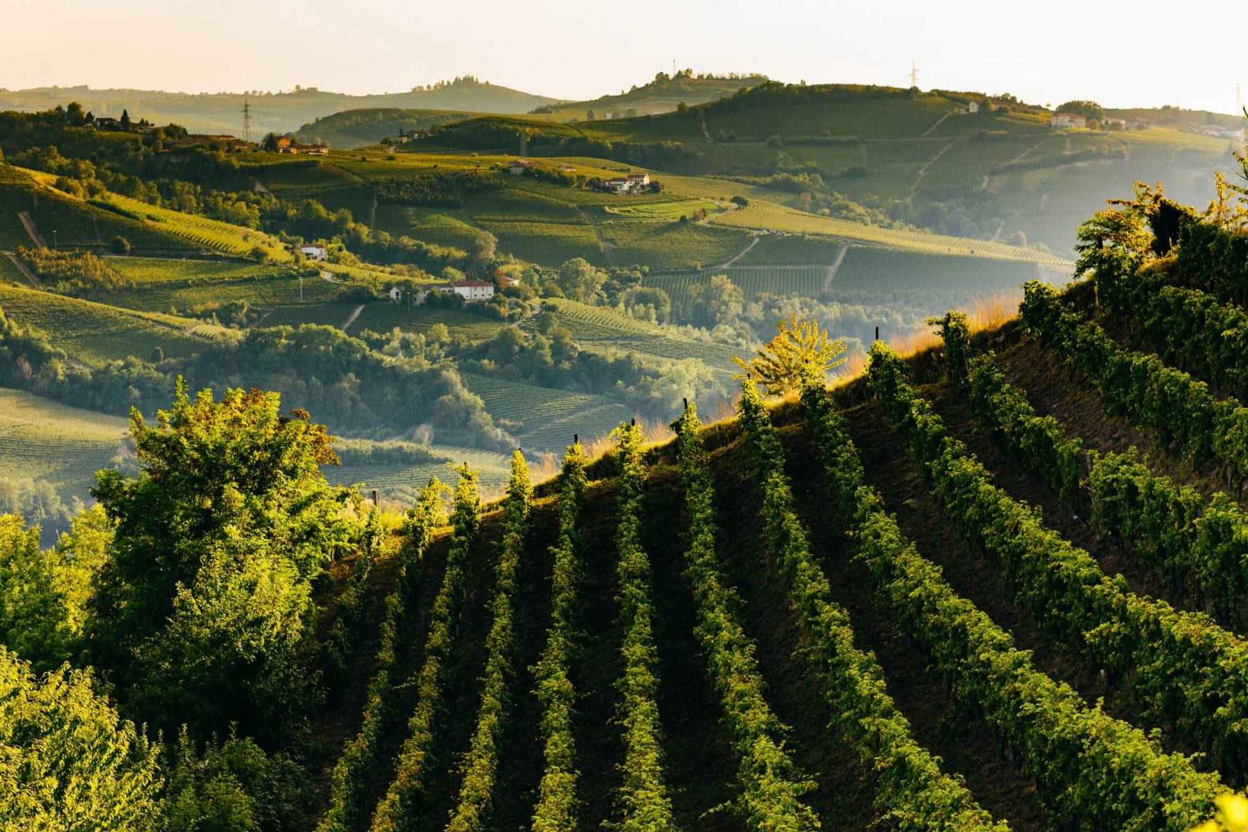 Beppe Marino – Santo Stefano Belbo, Piemonte