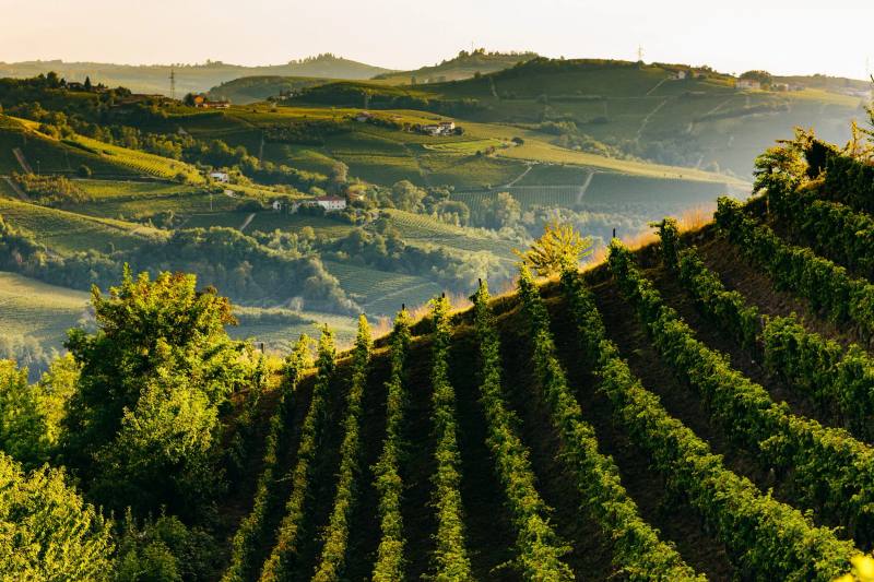 Beppe Marino – Santo Stefano Belbo, Piemonte