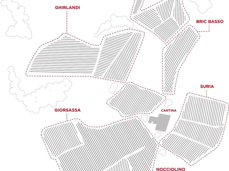 Moscone – fra gården i Monforte d'Alba og La Morra
