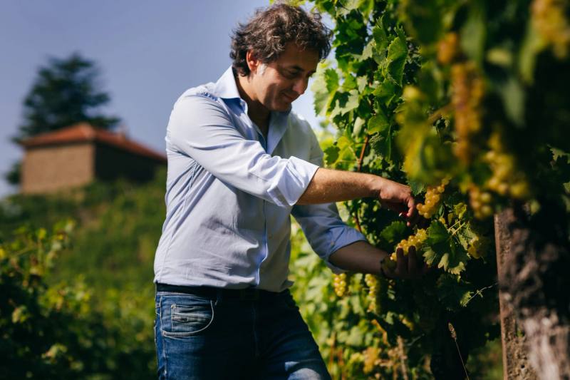 Maurizio Marino under innhøstingen