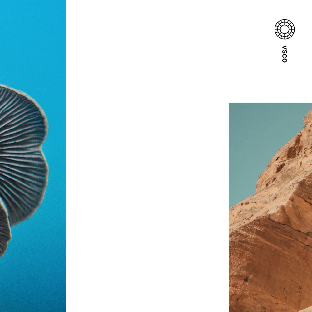 VSCO Brand Platform Relaunch