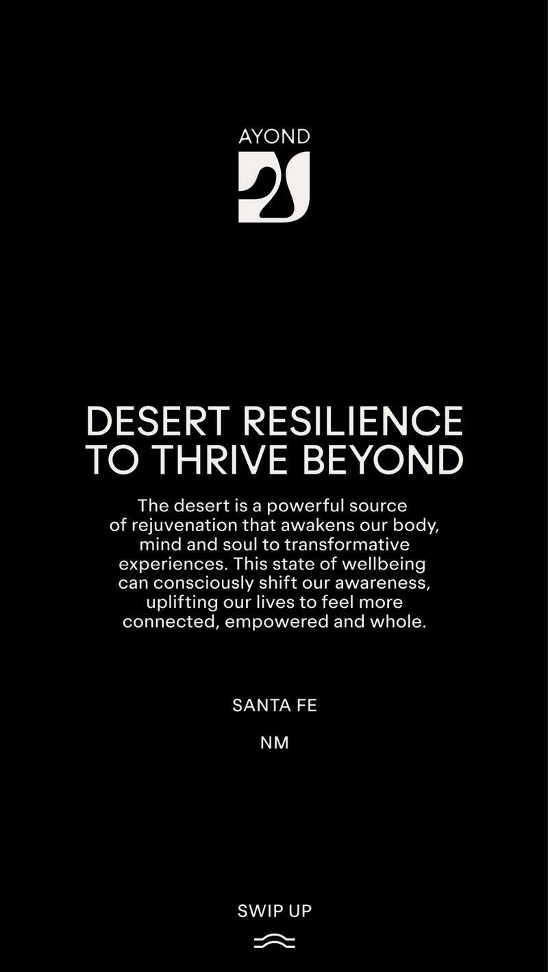 AYOND Rebrand & Packaging Design