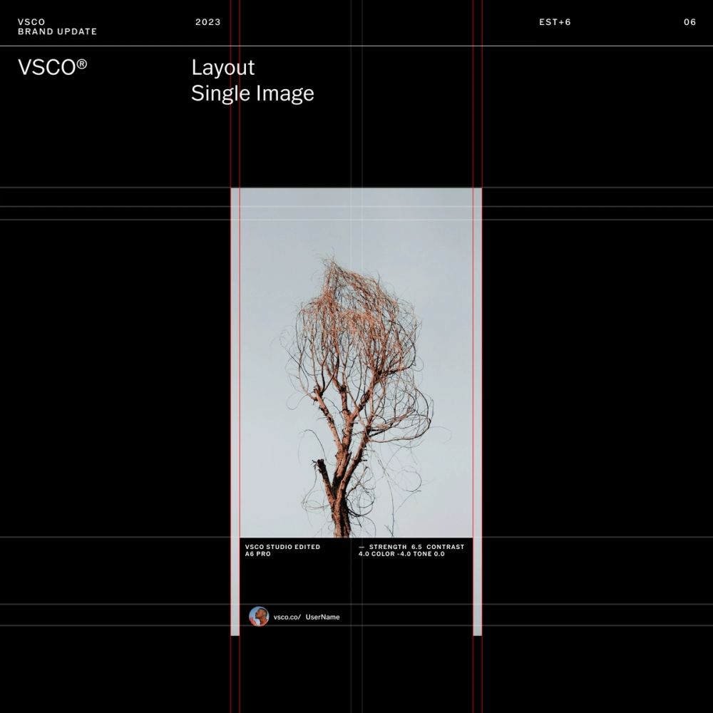 VSCO Brand Platform Relaunch