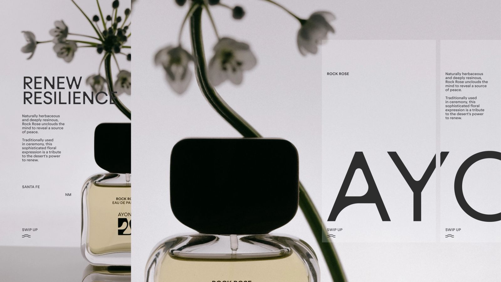 AYOND Rebrand & Packaging Design