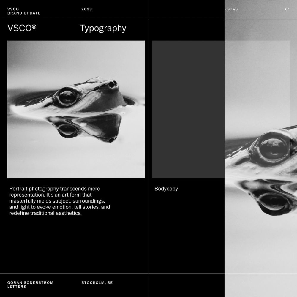 VSCO Brand Platform Relaunch