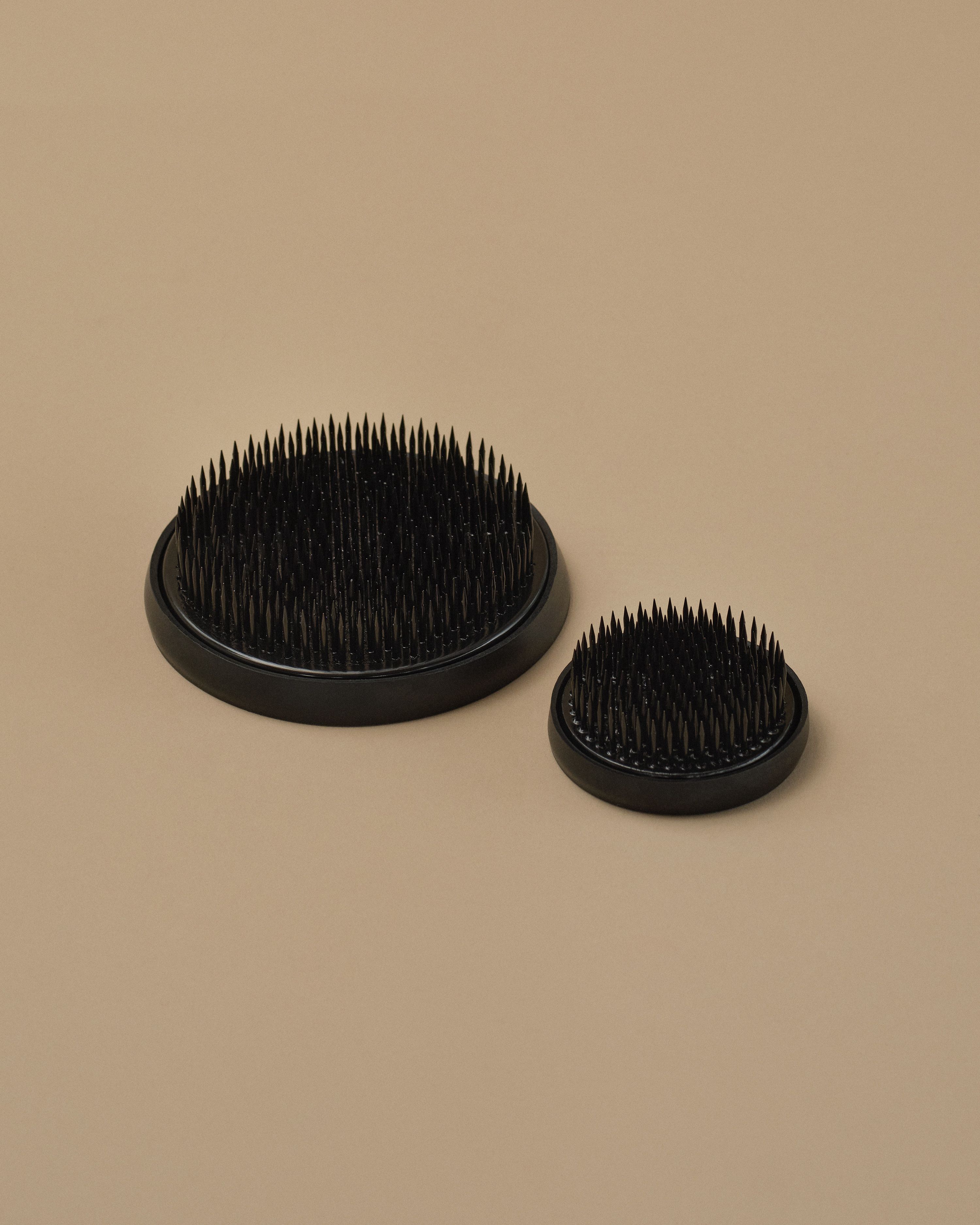 Japanese Kenzan | Field Studies Flora Store