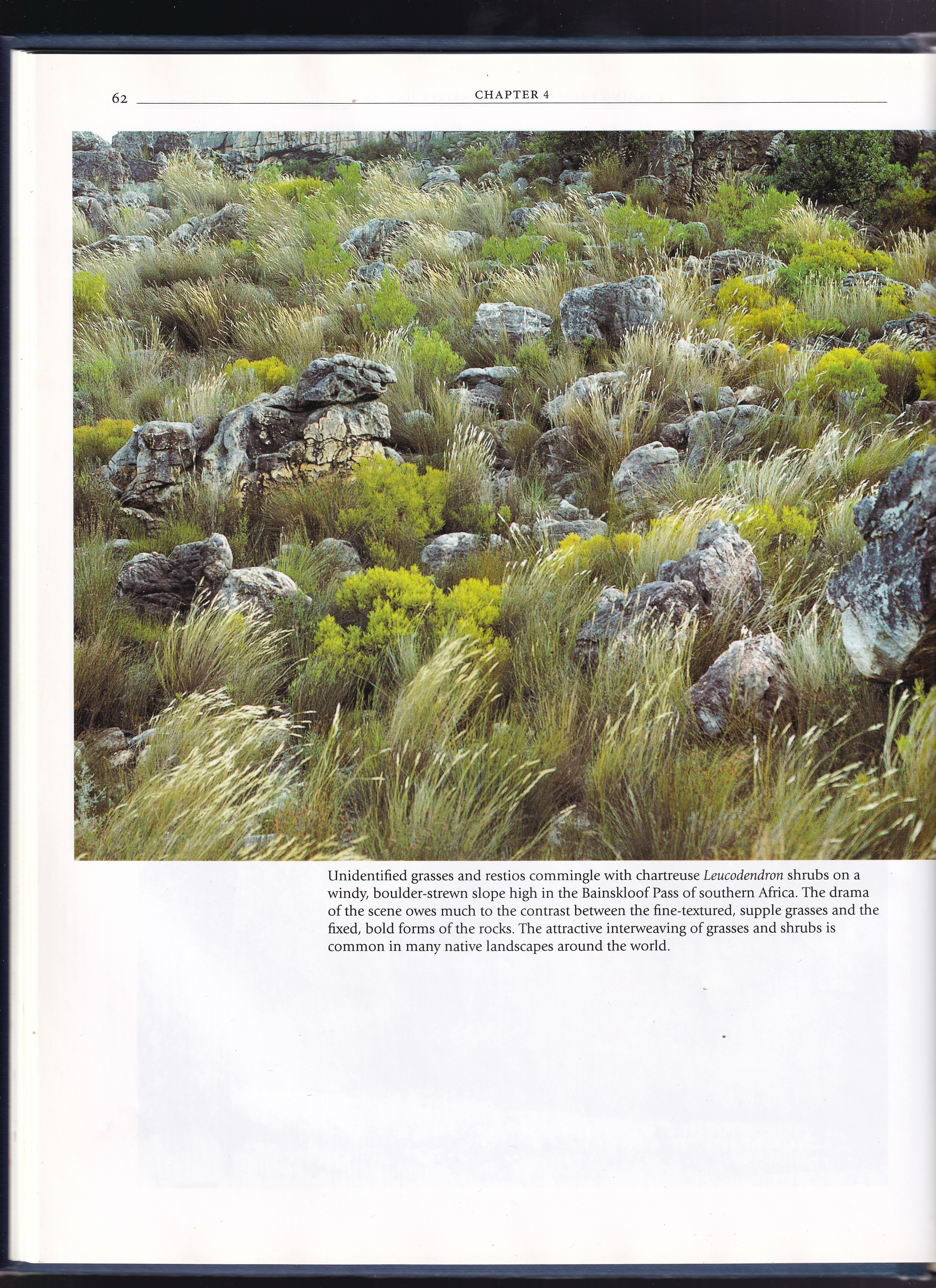 Spring Field Notes from Field Studies Flora