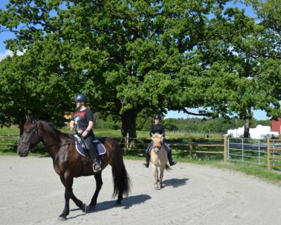 To elever som rir på hver sin hest på en ridebane.