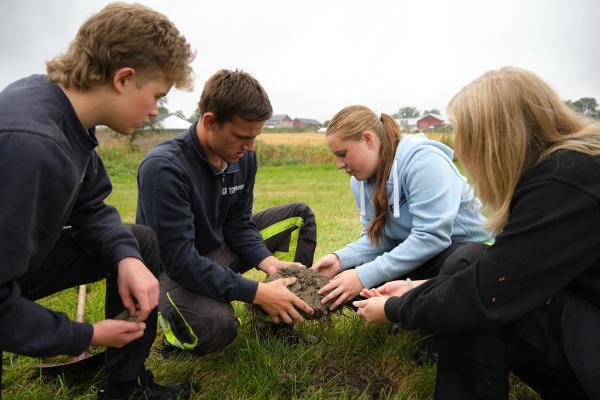 Fire elever ser på jord