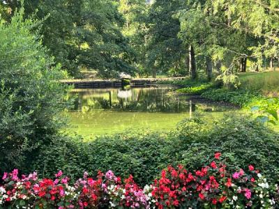 Sommerbilde fra parken