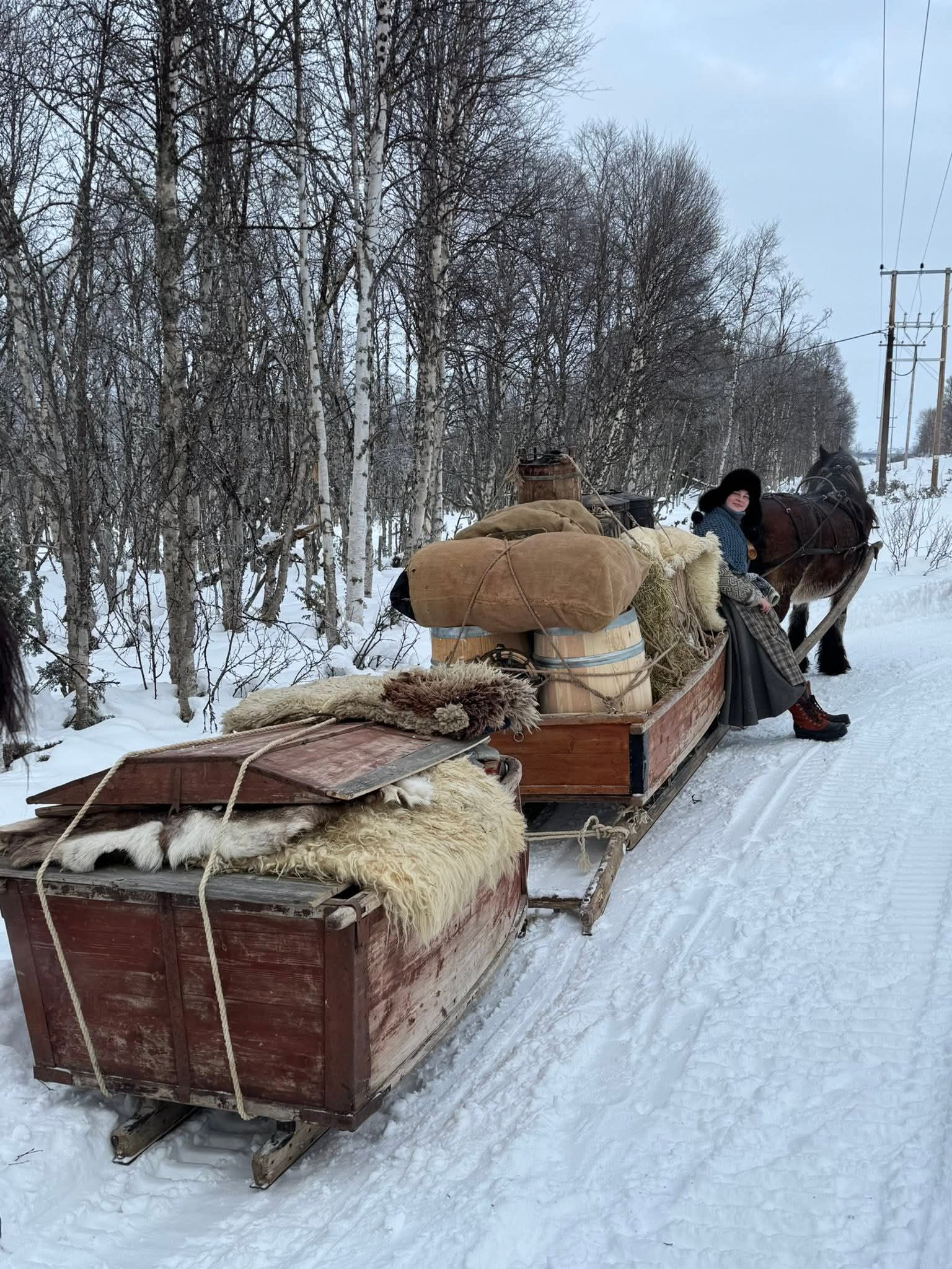 Fullpakkede hestesleder trekkes av hester på vintrføre.