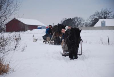Vinter og snø. Elever og lærer kjører hest og slede på skolens område.