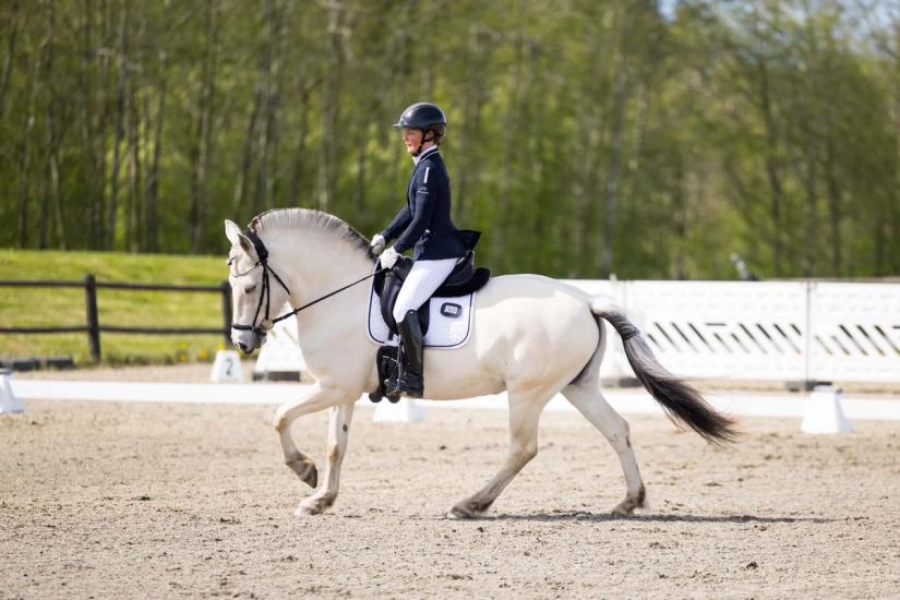 Stallmester rir på hest