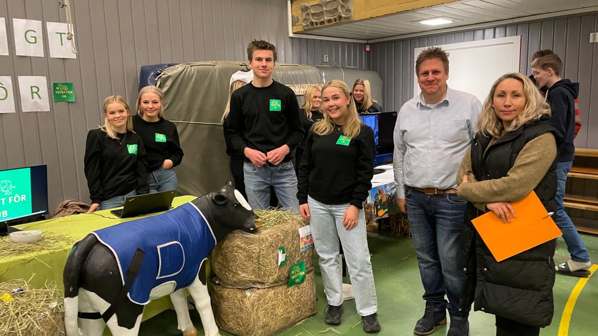 Vgs-elever og to voksne står samlet rundt høyballer og en utstillingsfigur; en kalv.