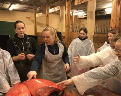 Undervisningstime i stallen. Elever undersøker innvoller til en hest.