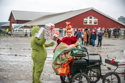 Elev utkledd som Grinchen står midt på ridebanen