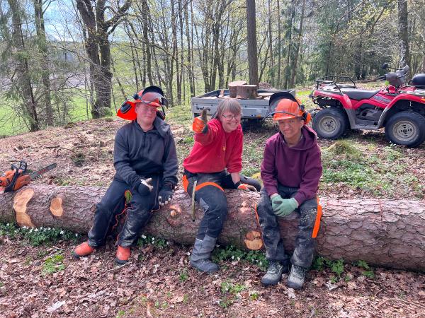 Tre personer som sitter på en trestamme i skogen. 