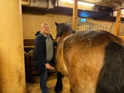 Elev som børster en hest i en stallboks.