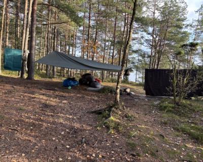 Hengekøyer og teltduk bundet opp i trestammer.