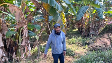 En mann står og viser fram bananplantasjen sin