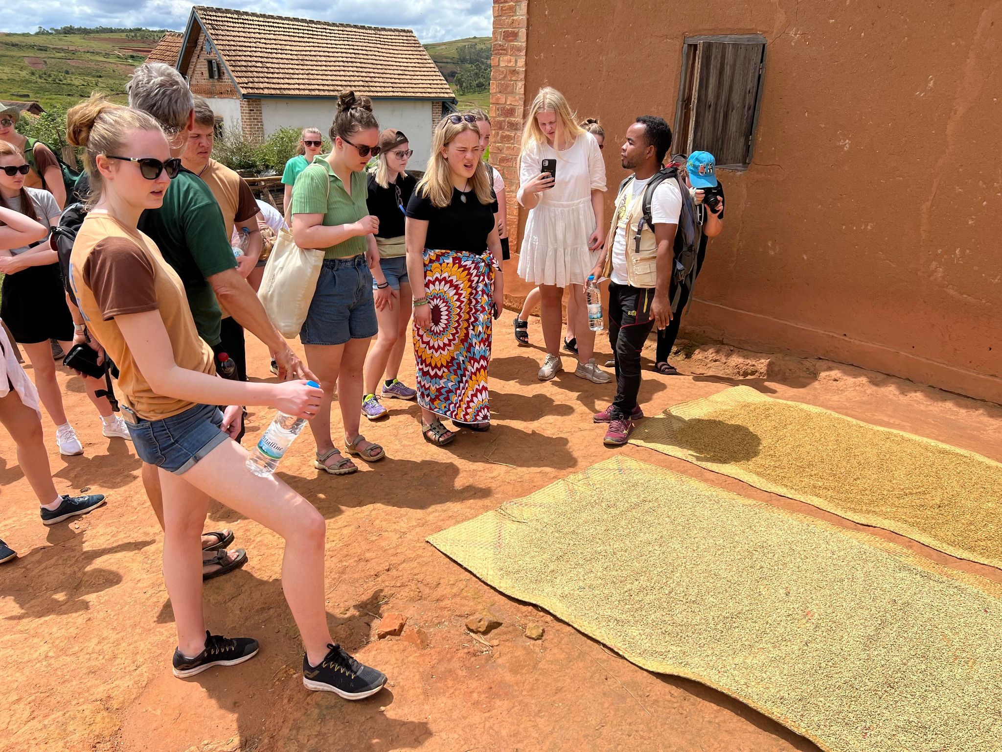 Tørking av korn i sola