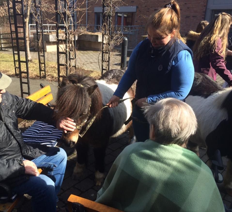 Elev leier islandshest bort til en gammel mann som får klappe hesten. 