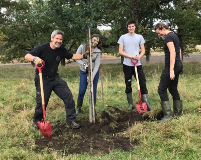 Lærer og tre elever planter et eiketre.