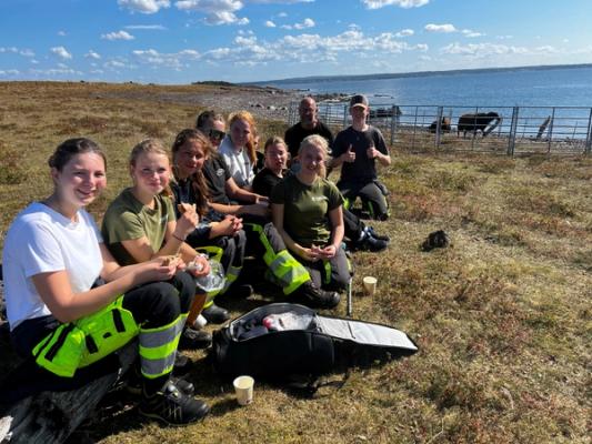 Mange elever sitter samlet på bakken og har matpause i fint vær. I bakgrunnen ses sjøen og noen sauer