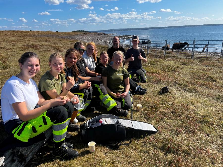 Mange elever sitter samlet på bakken og har matpause i fint vær. I bakgrunnen ses sjøen og noen sauer