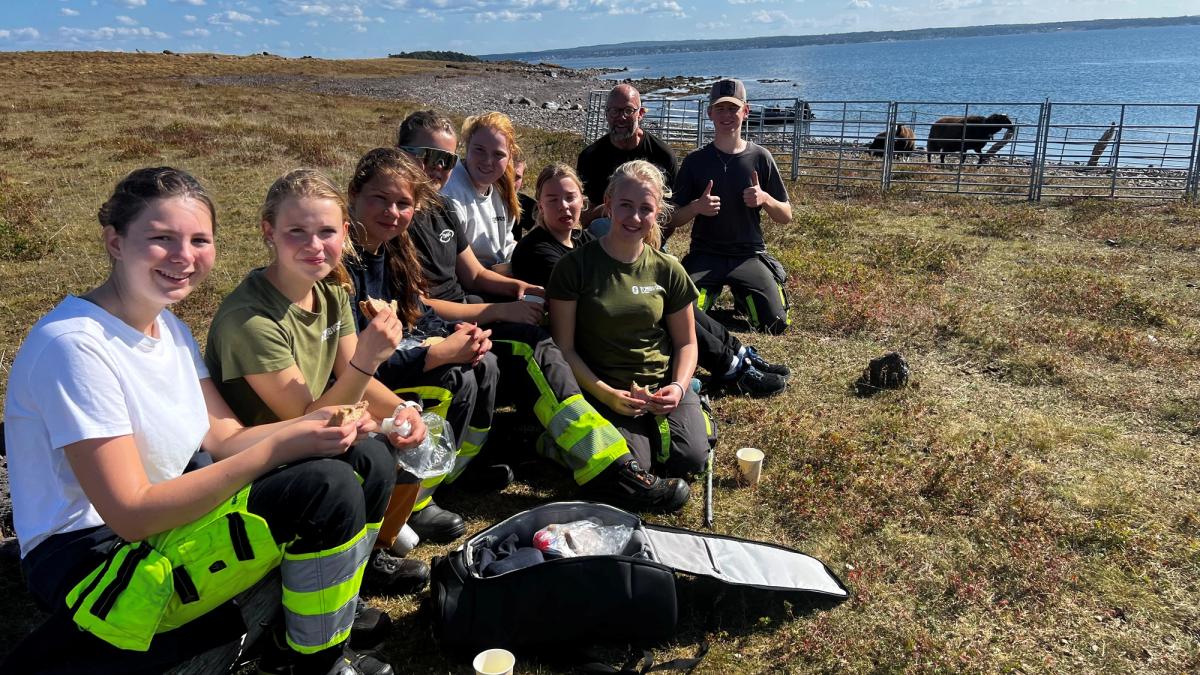 Mange elever sitter samlet på bakken og har matpause i fint vær. I bakgrunnen ses sjøen og noen sauer