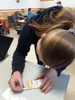 Elev drar ut en PH pinne