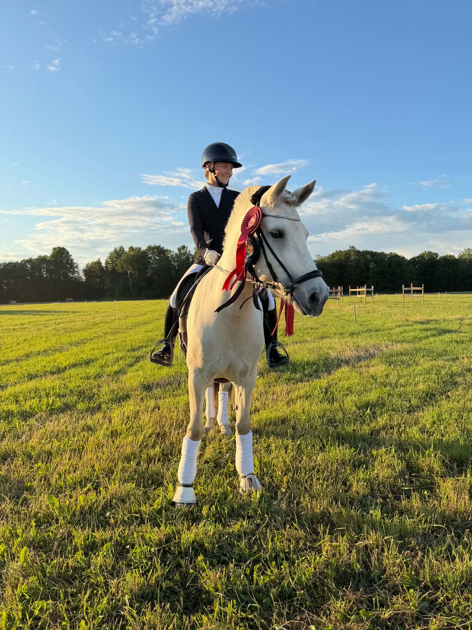 Stallmesteren sitter på hesten, med rosetter. 