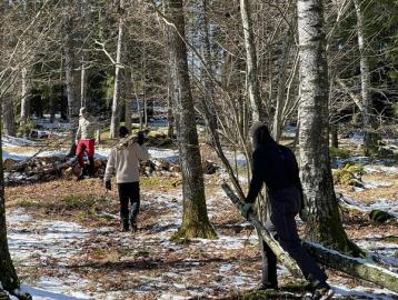 Tre menn drar ut gamle trestokker av skogen