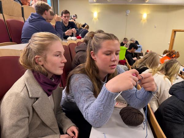 To elever som strikker.