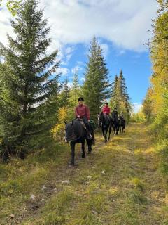 Elever som rir på hest på vei mot fjellet.