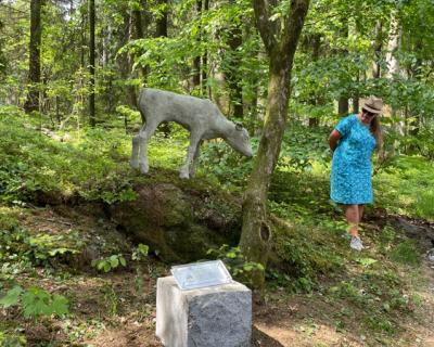 En kalv i betong er plassert ved en kunststi i park. Her sammen med kunstneren. Ellen Solberg. Foran i bildet er et orienteringsskilt.