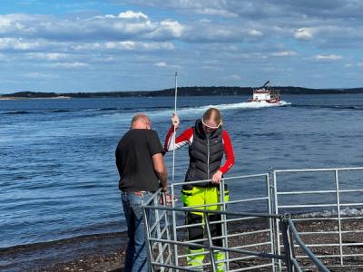 Lærer og elev setter opp midlertid gjerde for innsanking av sauer. Ute i fjorden ses båten som frakter sauene.