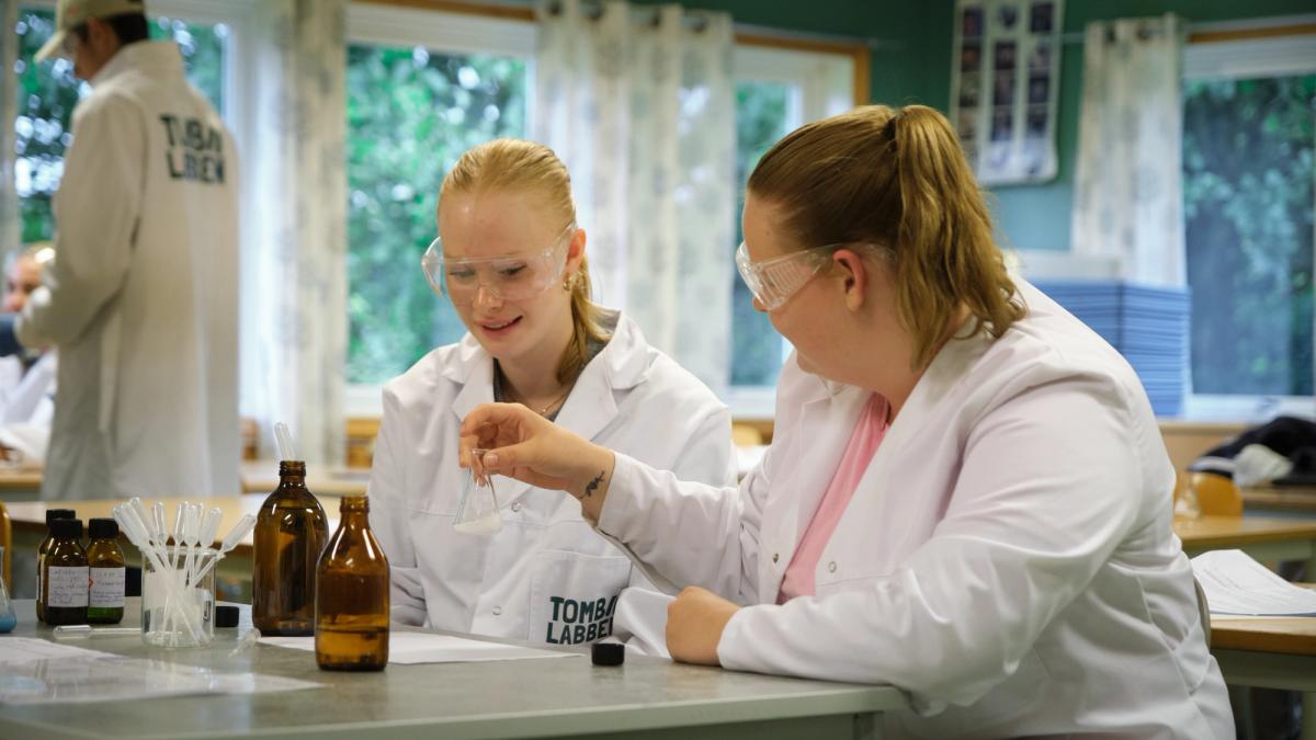 To elever i et kjemirom