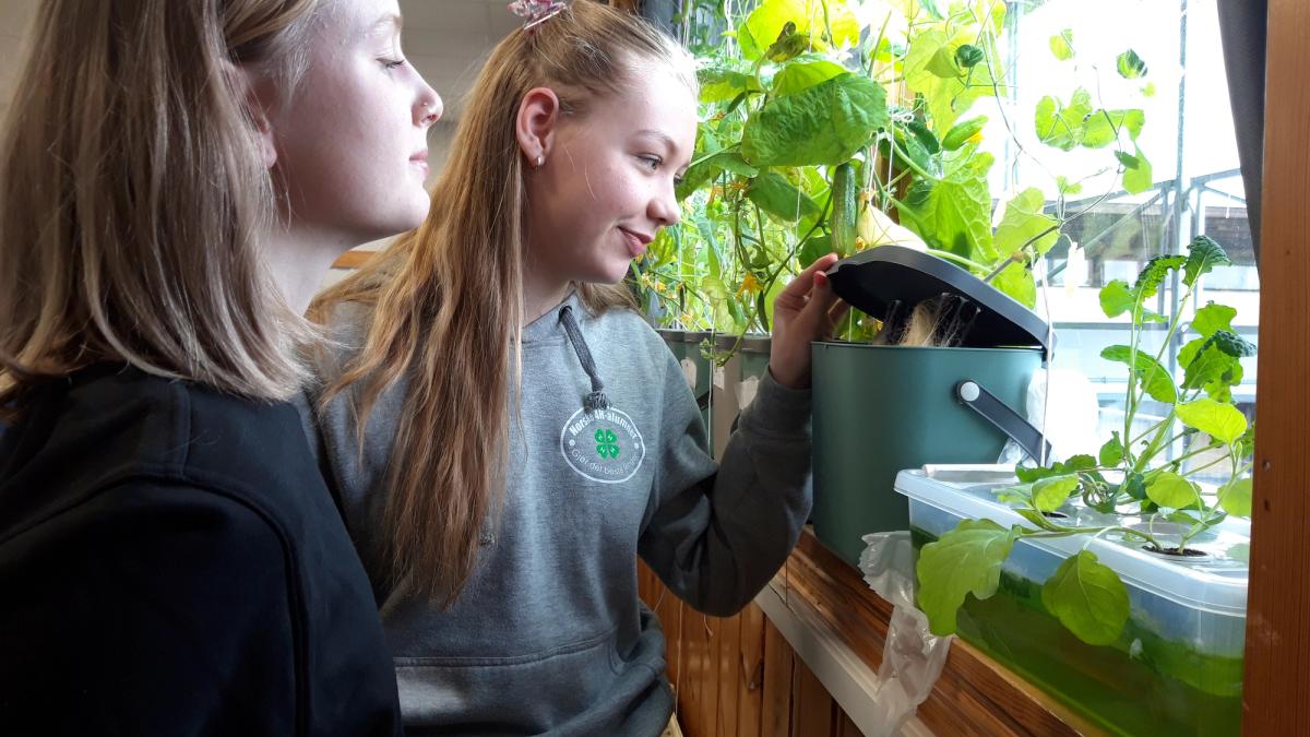 To jenter som ser oppi boksen sin i vinduskarmen