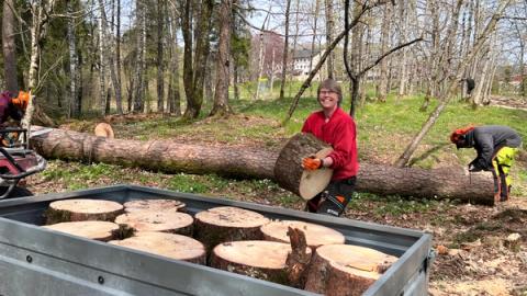 Ei dame som bærer en tung stokk.