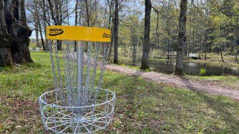 En disk-kurv i parken om våren.