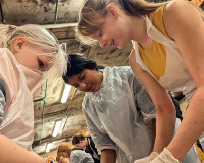 Jenter lener seg over hest som blir dissekert